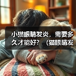 小猫眼睛发炎,需要多久才能好?(猫眼睛发炎的原因、症状和治疗方法及预防)(图2) 小猫眼睛发炎,需要多久才能好?(猫眼睛发炎的原因、症状和治疗方法及预防)(图2)