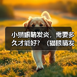 小猫眼睛发炎,需要多久才能好?(猫眼睛发炎的原因、症状和治疗方法及预防)(图3) 小猫眼睛发炎,需要多久才能好?(猫眼睛发炎的原因、症状和治疗方法及预防)(图3)