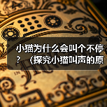 小猫为什么会叫个不停?(探究小猫叫声的原因与解决方法)(图3) 小猫为什么会叫个不停?(探究小猫叫声的原因与解决方法)(图3)