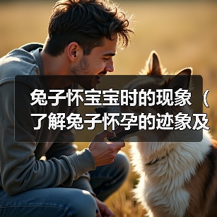 兔子怀宝宝时的现象（了解兔子怀孕的迹象及相关注意事项）（图3）