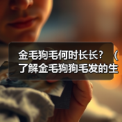 金毛狗毛何时长长？（了解金毛狗狗毛发的生长周期及护理方法）（图2）