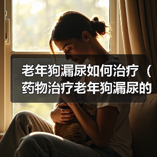 老年狗漏尿如何治疗（药物治疗老年狗漏尿的有效方法）（图2）