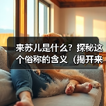 来苏儿是什么？探秘这个俗称的含义（揭开来苏儿之谜，探索它的来源与内涵）（图4）