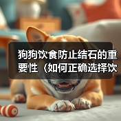 狗狗饮食防止结石的重要性（如何正确选择饮食以预防狗狗结石问题）（图4）