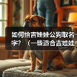 如何给吉娃娃公狗取名字？（一些适合吉娃娃公狗的名字及取名的关键因素）（图3）