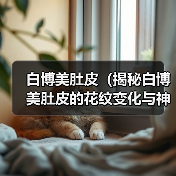 白博美肚皮（揭秘白博美肚皮的花纹变化与神秘力量）（图3）