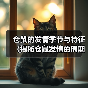 仓鼠的发情季节与特征（揭秘仓鼠发情的周期、行为和繁殖方式）（图1）