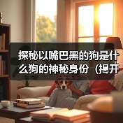 探秘以嘴巴黑的狗是什么狗的神秘身份（揭开以嘴巴黑的狗品种之谜）（图2）