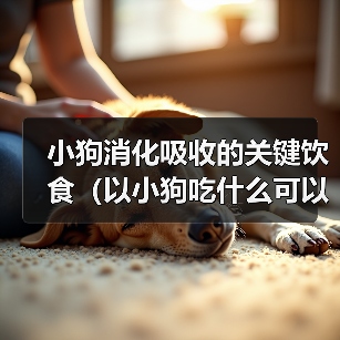 小狗消化吸收的关键饮食(以小狗吃什么可以帮助消化吸收)(图2) 小狗消化吸收的关键饮食(以小狗吃什么可以帮助消化吸收)(图2)