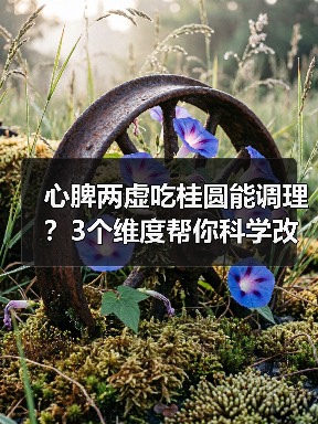 心脾两虚吃桂圆能调理?3个维度帮你科学改善(图3) 心脾两虚吃桂圆能调理?3个维度帮你科学改善(图3)