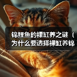 锦鲤鱼的裸缸养之谜（为什么要选择裸缸养锦鲤？（）（图4）