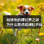 锦鲤鱼的裸缸养之谜（为什么要选择裸缸养锦鲤？（）（图3）