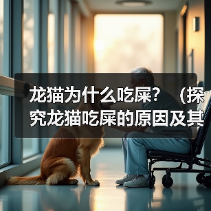 龙猫为什么吃屎？（探究龙猫吃屎的原因及其对健康的影响）（图4）