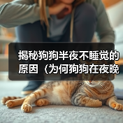 揭秘狗狗半夜不睡觉的原因(为何狗狗在夜晚失眠不安?解读狗狗夜间行为谜团)(图3) 揭秘狗狗半夜不睡觉的原因(为何狗狗在夜晚失眠不安?解读狗狗夜间行为谜团)(图3)