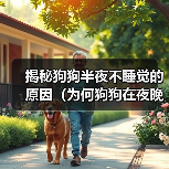 揭秘狗狗半夜不睡觉的原因(为何狗狗在夜晚失眠不安?解读狗狗夜间行为谜团)(图2) 揭秘狗狗半夜不睡觉的原因(为何狗狗在夜晚失眠不安?解读狗狗夜间行为谜团)(图2)