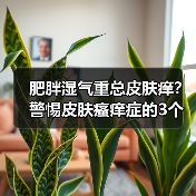 肥胖湿气重总皮肤痒？警惕皮肤瘙痒症的3个核心信号（图3）