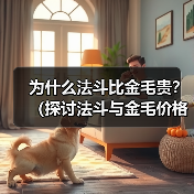 为什么法斗比金毛贵?(探讨法斗与金毛价格差异的原因以及市场需求的影响)(图3) 为什么法斗比金毛贵?(探讨法斗与金毛价格差异的原因以及市场需求的影响)(图3)