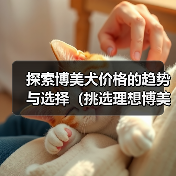 探索博美犬价格的趋势与选择（挑选理想博美犬的关键因素与经济考量）（图2）