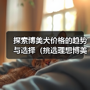 探索博美犬价格的趋势与选择（挑选理想博美犬的关键因素与经济考量）（图4）