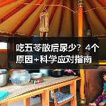 吃五苓散后尿少？4个原因+科学应对指南（图4）
