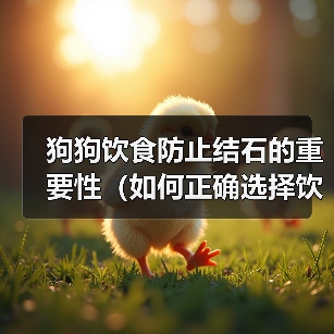 狗狗饮食防止结石的重要性（如何正确选择饮食以预防狗狗结石问题）（图2）