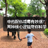 中药配伍减毒有妙招？两种核心逻辑帮你科学用药（图1）