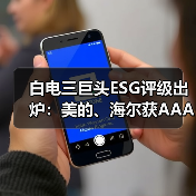 白电三巨头ESG评级出炉:美的、海尔获AAApi级,格力获AApi级(图2) 白电三巨头ESG评级出炉:美的、海尔获AAApi级,格力获AApi级(图2)