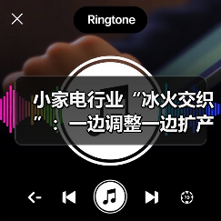 小家电行业“冰火交织”:一边调整一边扩产(图2) 小家电行业“冰火交织”:一边调整一边扩产(图2)