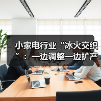 小家电行业“冰火交织”:一边调整一边扩产(图3) 小家电行业“冰火交织”:一边调整一边扩产(图3)