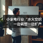 小家电行业“冰火交织”：一边调整一边扩产（图1）