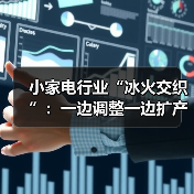 小家电行业“冰火交织”：一边调整一边扩产（图2）
