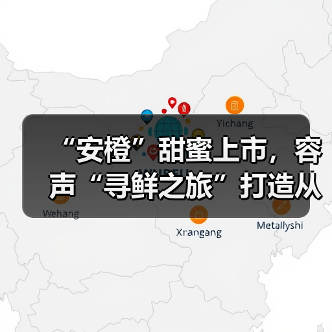 “安橙”甜蜜上市,容声“寻鲜之旅”打造从田间到舌尖的价值共享链(图4) “安橙”甜蜜上市,容声“寻鲜之旅”打造从田间到舌尖的价值共享链(图4)
