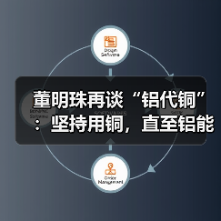 董明珠再谈“铝代铜”：坚持用铜，直至铝能完全替代（图4）