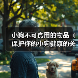 小狗不可食用的物品(保护你的小狗健康的关键)(图4) 小狗不可食用的物品(保护你的小狗健康的关键)(图4)