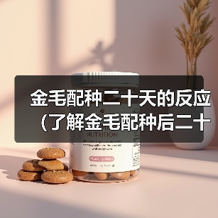 金毛配种二十天的反应(了解金毛配种后二十天的反应及其)(图4) 金毛配种二十天的反应(了解金毛配种后二十天的反应及其)(图4)