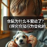 仓鼠为什么不爱动了?(探究仓鼠行为变化的原因及解决方法)(图1) 仓鼠为什么不爱动了?(探究仓鼠行为变化的原因及解决方法)(图1)