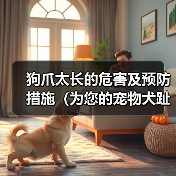 狗爪太长的危害及预防措施（为您的宠物犬趾甲保持适当长度的重要性）（图4）