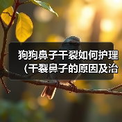 狗狗鼻子干裂如何护理（干裂鼻子的原因及治疗方法）（图2）