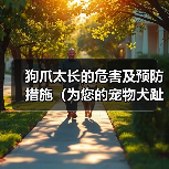 狗爪太长的危害及预防措施（为您的宠物犬趾甲保持适当长度的重要性）（图2）
