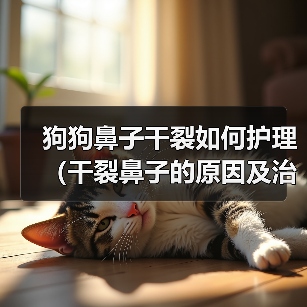 狗狗鼻子干裂如何护理（干裂鼻子的原因及治疗方法）（图4）