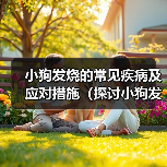 小狗发烧的常见疾病及应对措施（探讨小狗发烧的原因、症状与治疗方法）（图2）