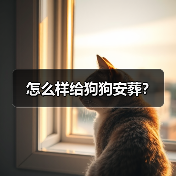 怎么样给狗狗安葬？（图3）
