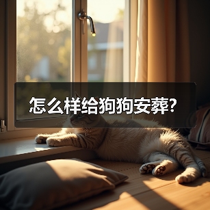 怎么样给狗狗安葬？（图4）