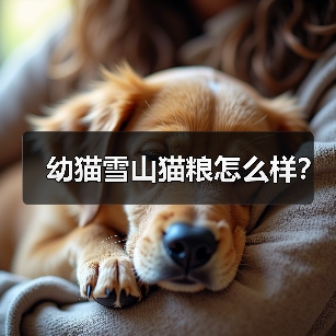 幼猫雪山猫粮怎么样？（图3）