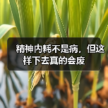 精神内耗不是病,但这样下去真的会废(图3) 精神内耗不是病,但这样下去真的会废(图3)