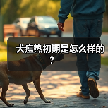 犬瘟热初期是怎么样的？（图2）