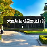犬瘟热初期是怎么样的？（图3）
