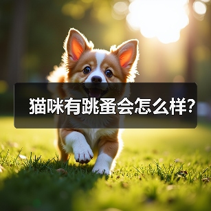 猫咪有跳蚤会怎么样？（图2）