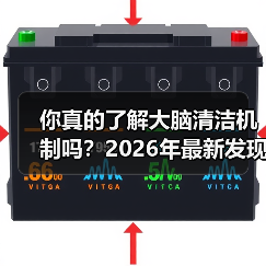 你真的了解大脑清洁机制吗?2026年最新发现(图2) 你真的了解大脑清洁机制吗?2026年最新发现(图2)