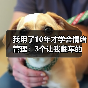 我用了10年才学会情绪管理:3个让我翻车的教训(图1) 我用了10年才学会情绪管理:3个让我翻车的教训(图1)